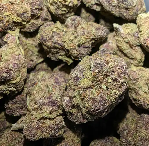 Flower Cannabis THCA Hybrid Sativa Tropical Cherry