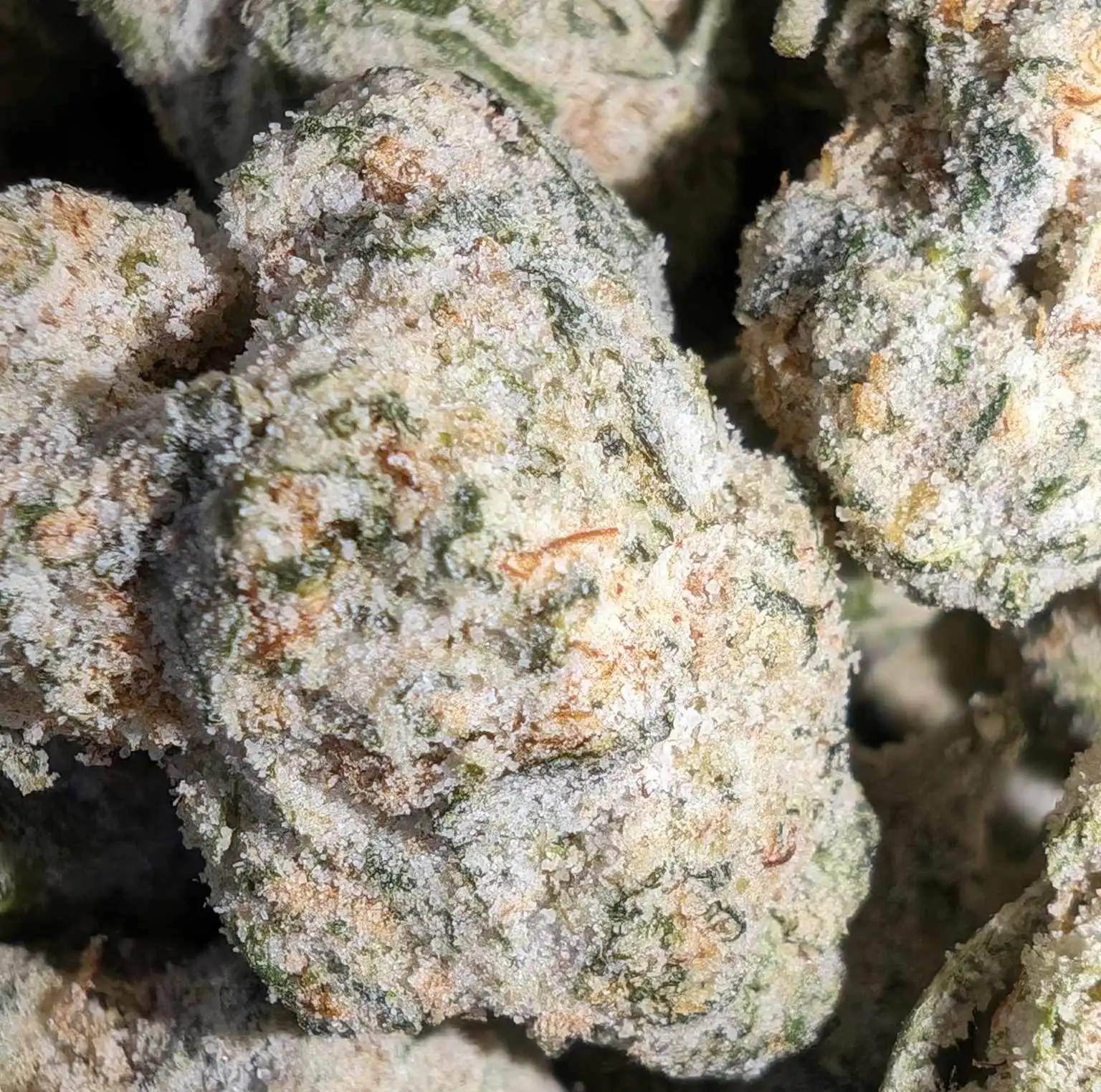 Flower Cannabis THCA Hybrid Indica Candied Cherries