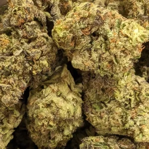 Gushers - Hybrid/Indica - 31.2% THCA