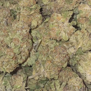 Mochi - Hybrid - 28.1% THCA