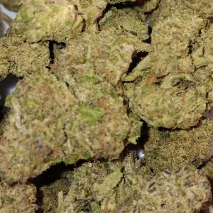 Rainbow Belts - Hybrid - 25.1% THCA