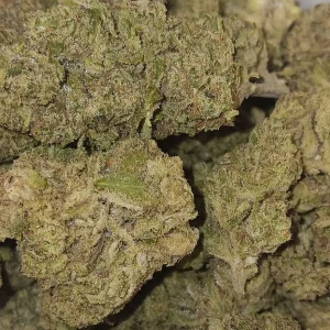 Rudeboi OG - Hybrid/Indica - 30.3% THCA