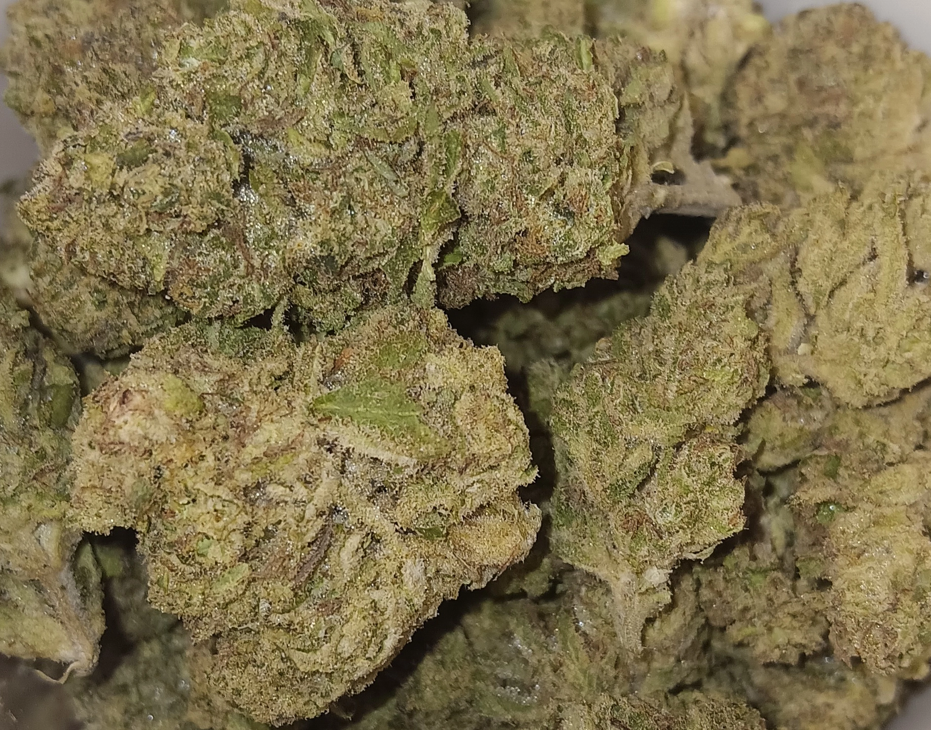 Rudeboi OG - Hybrid/Indica - 30.3% THCA