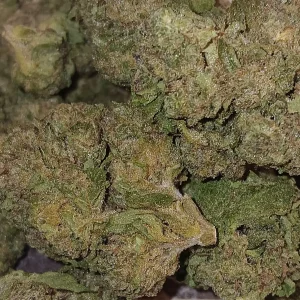 White Kush - Indica - 26.3% THCA