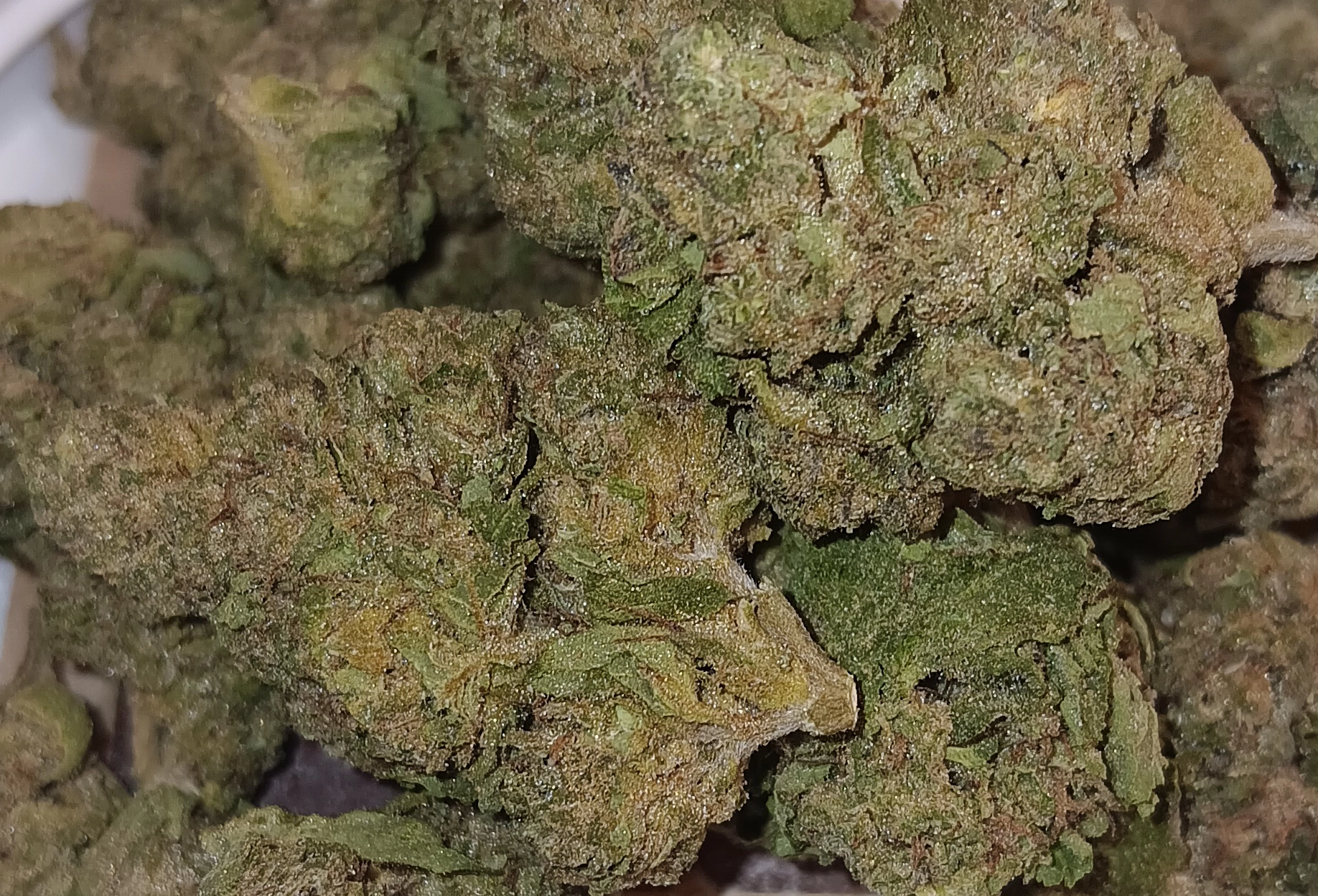 White Kush - Indica - 26.3% THCA