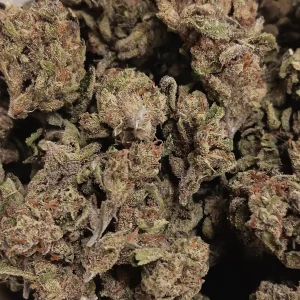 Cannalope Haze - Hybrid\Sativa - 27% THCA