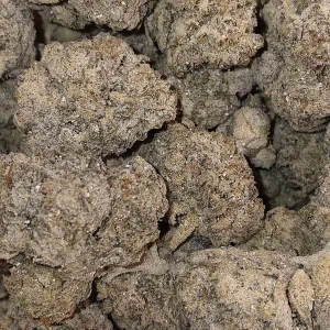 Highlighter - Hybrid/Indica - 55.7% THCA