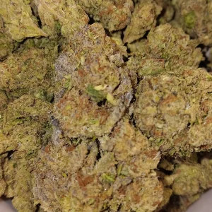 Lemon Cherry Gelato - Hybrid/Indica - 31.8% THCA