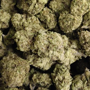 Mimosa - Hybrid/Sativa - 30.2% THCA