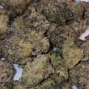 Oreoz - Hybrid/Indica - 32.4% THCA