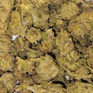 Strawberry Cough - Hybrid/Sativa - 24.3% THCA