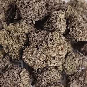 Trop Chem - Hybrid/Sativa - 34.3% THCA