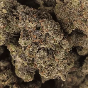 Stardawg - Hybrid/Sativa - 32..6% THCA