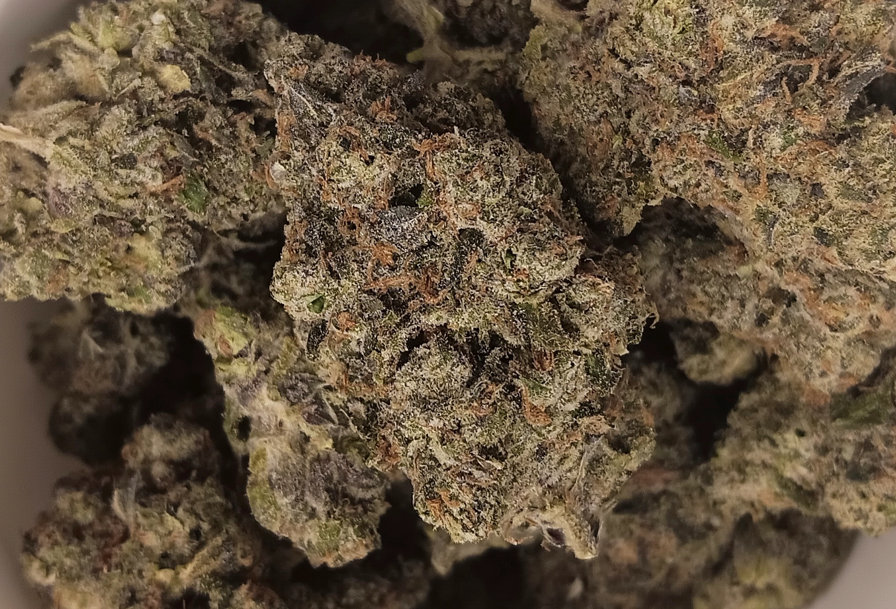 Stardawg - Hybrid/Sativa - 32..6% THCA