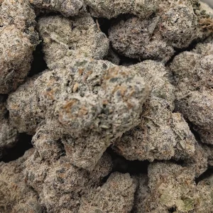 Lemon Shake Up – Hybrid/Sativa – 50% THCA