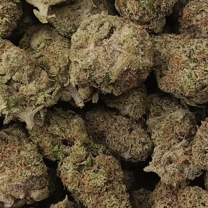 Snow Cone - Hybrid/Sativa - 28.4% THCA