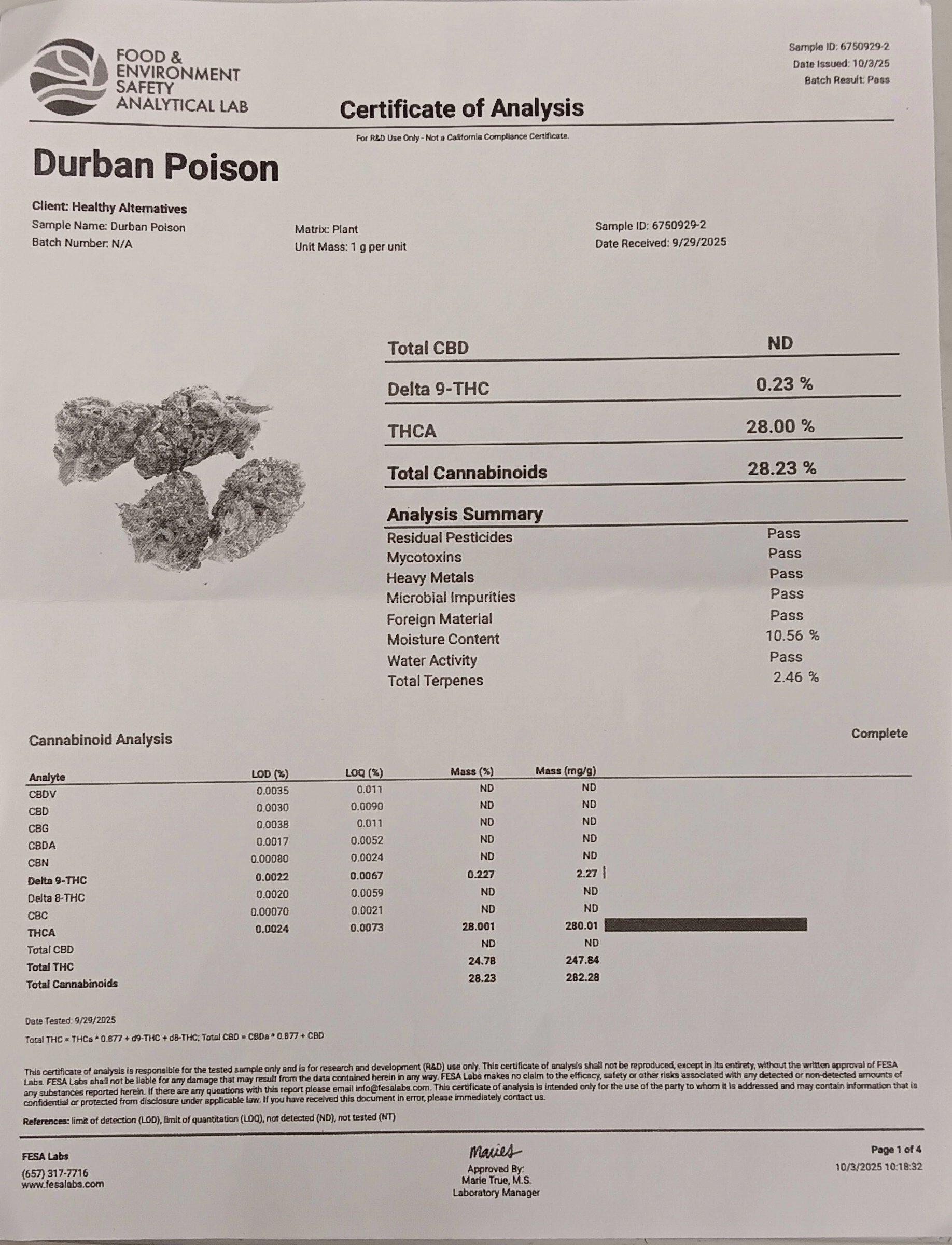 Durban Poison – Hybrid/Sativa – 28% THCA - Image 2
