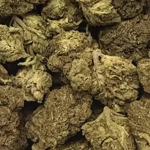 Green Crack – Sativa – 31.7%THCA