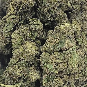 Sour Skunk – Hybrid/Sativa – 31.2% THCA